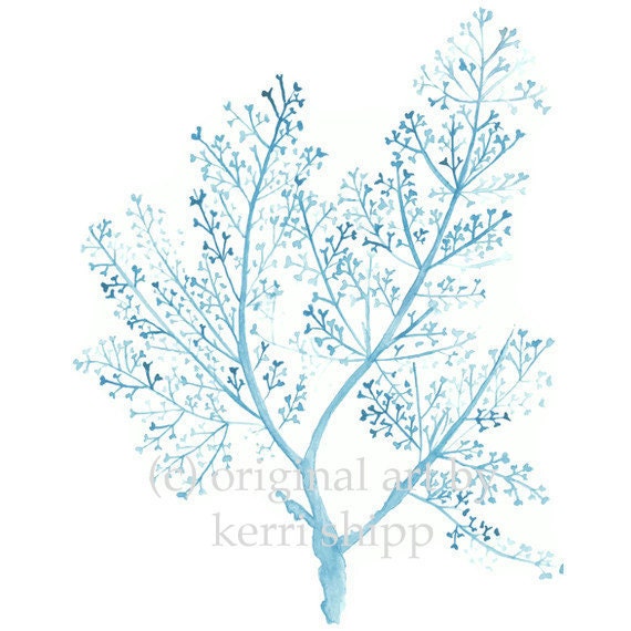 Sea Fern in French Blue Print