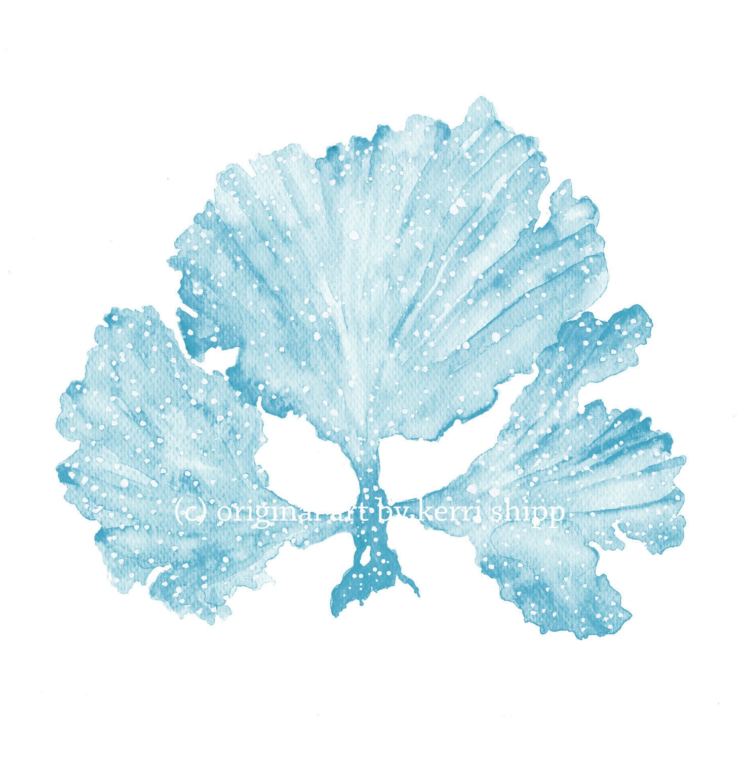 Seaweed II in French Blue - NEW colour