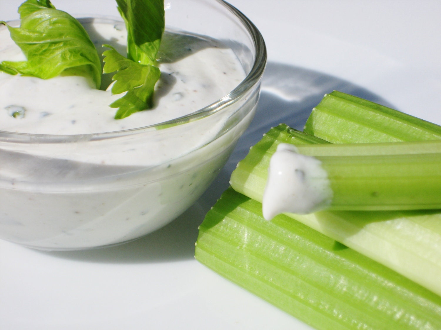 Organic Ranch Dip  1 oz - just add sour cream or yogurt - delicious DIY dip for a healthy snack - great as a salad dressing too