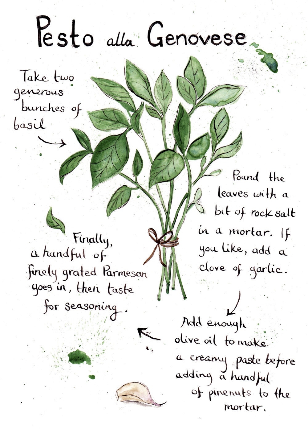Pesto alla Genovese Ilustrated Recipe