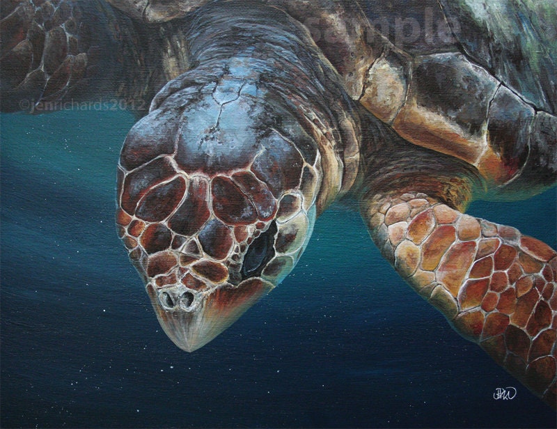 Loggerhead sea turtle - 11 x 14 print