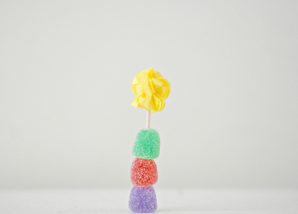 Custom Mini Pom Food Picks  (Set of 12)
