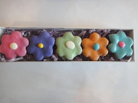 All Natural Mini Daisy Dog Treats