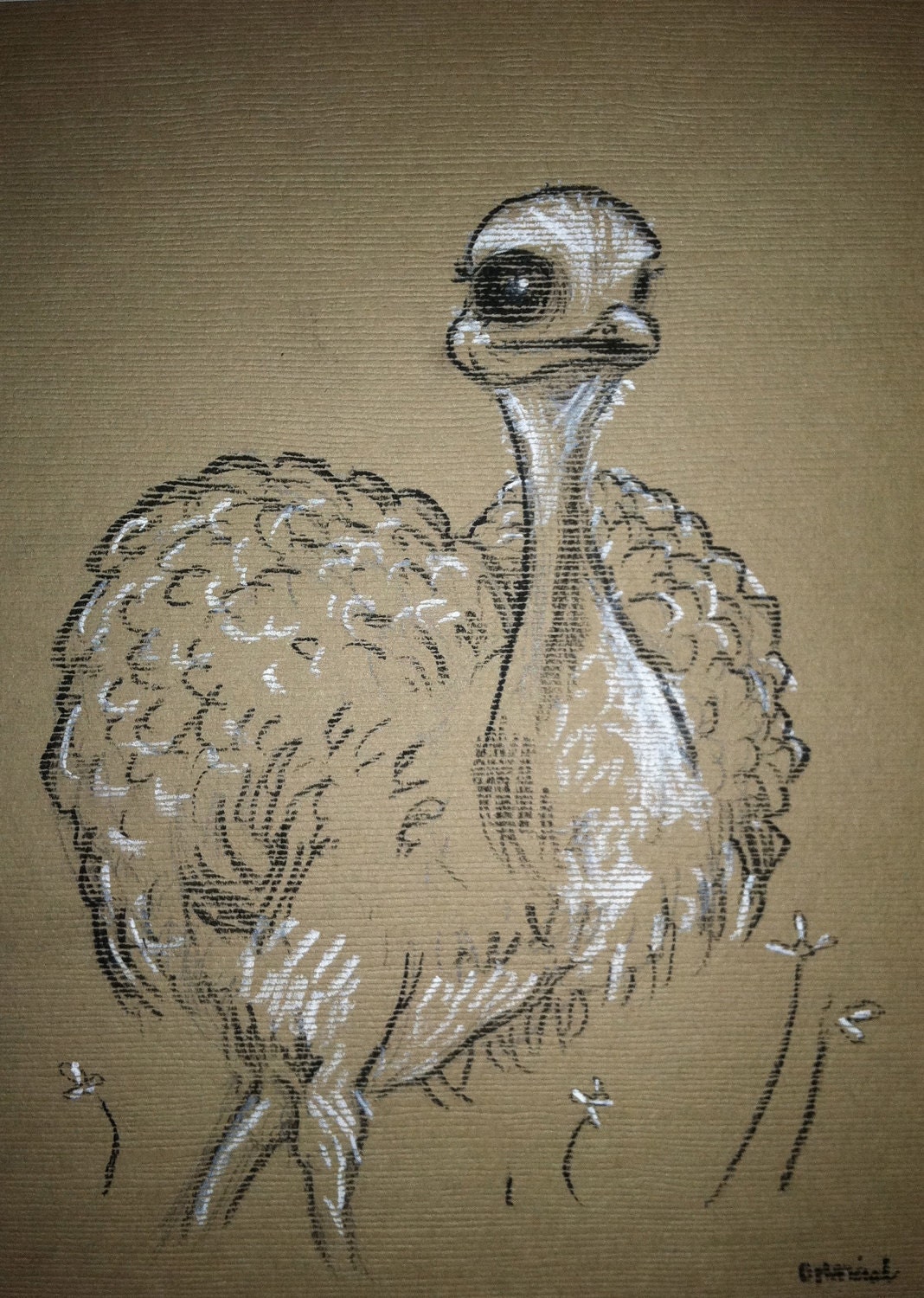 ORIGINAL Ostrich drawing - Charcoal Drawing on beige, neutral cardstock - 5x7