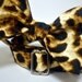Macall Leopard Print Bow Tie