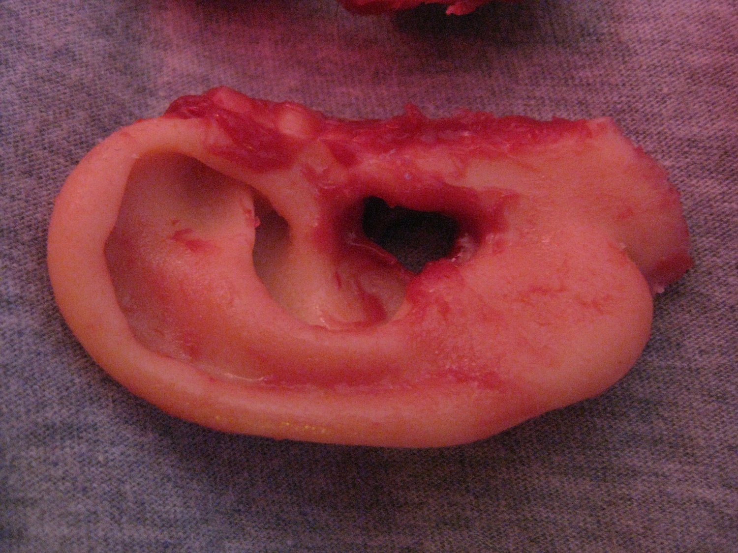 Single Severed Silicone Ear