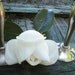 Online Vintage Set of Pewter Candle Sticks