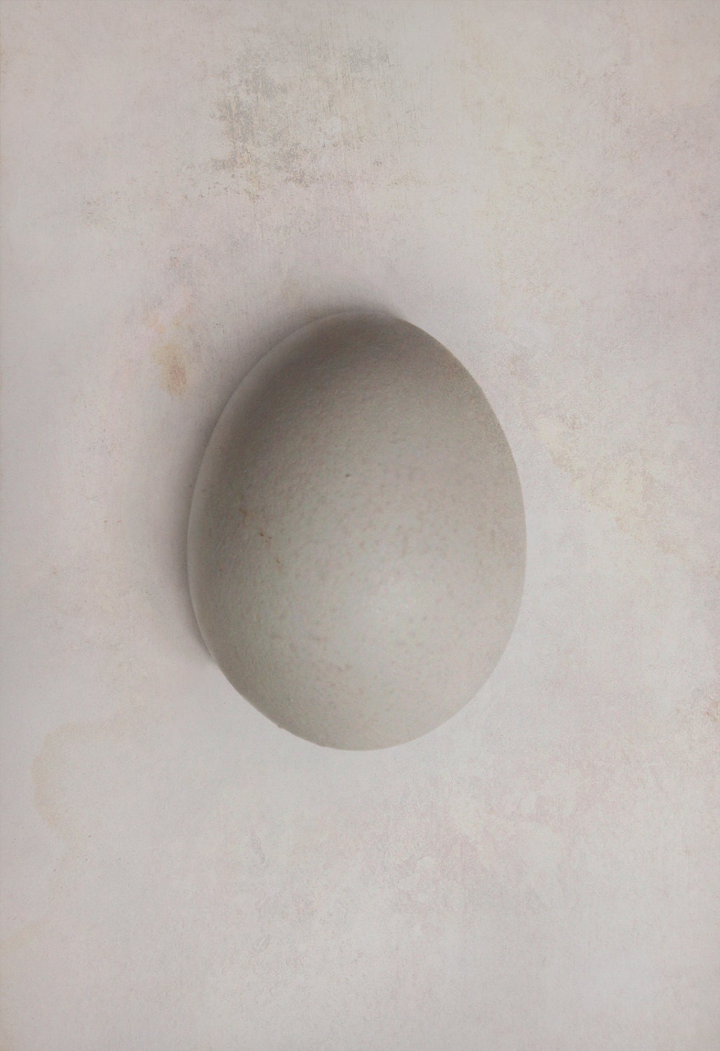 Fertility