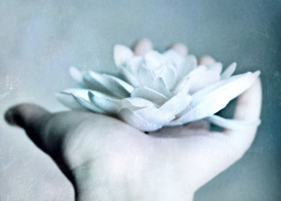 Offering- 5x7 Original Fine Art Photograph - Dreamy - Hand - Flower- White - Pastel - Soft - Dream - urbanantique