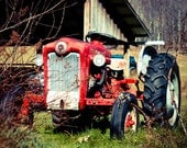 Little Red Tractor - 5x5 Original Fine Art Photograph - Farm - Country - Summer - Rural - Rustic - Vintage