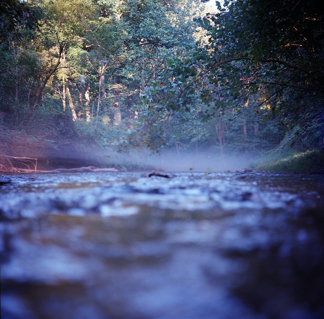 The River - 8 by 8 print