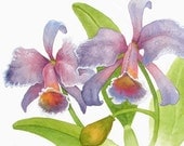 Orchids, ORIGINAL Watercolor