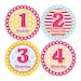 Baby Photo Prop Monthly Onesie Stickers - Jade - Posh and Preppy Patterns in Pink, Yellow, and Blue - Baby Month Stickers