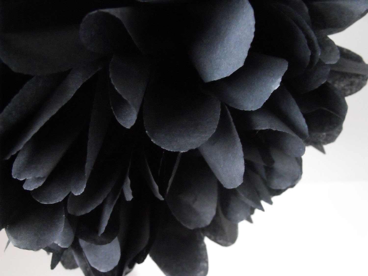 Black ... 1 Pom Il_170x135