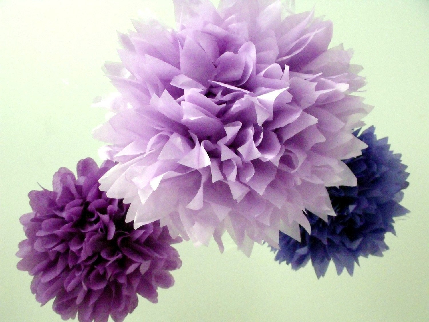 Lovely Lavender ... 3 Poms Il_170x135