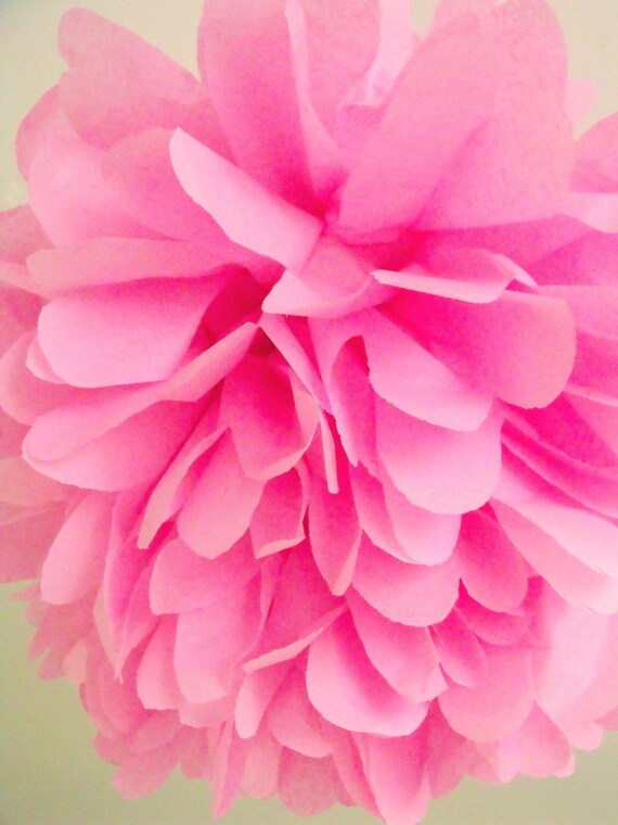 Raspberry ... 1 Pom Il_570xn