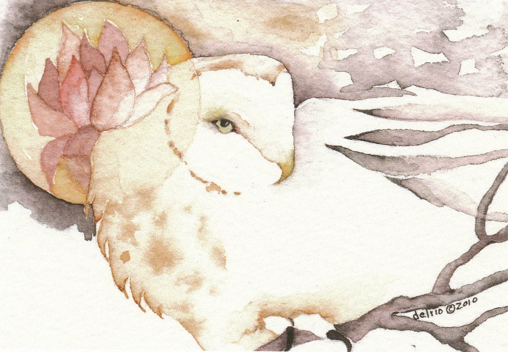 PEACEFUL WISDOM barn owl totem Aceo watercolor PRINT spirit animal lotus - Free Shipping