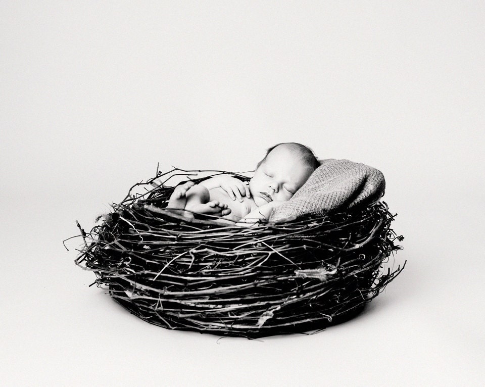 Large Newborn Natural Faux Bird Nest Photography Prop-wood branch nest