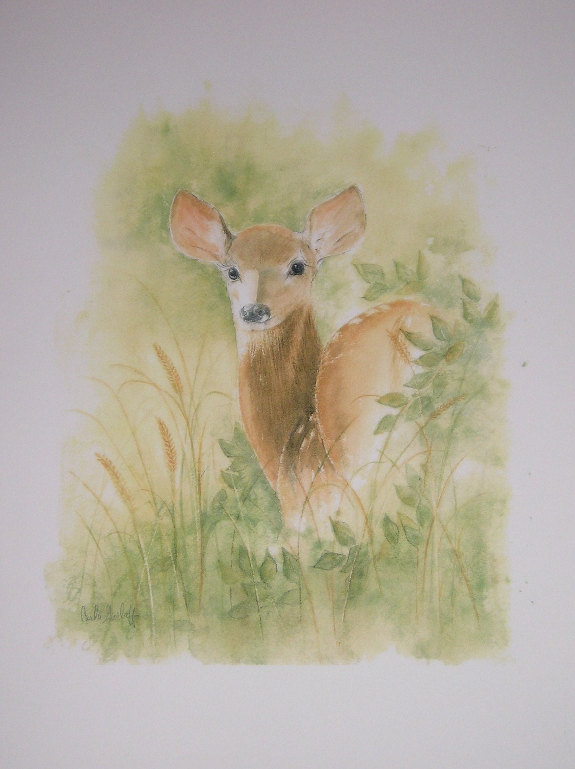 Little Deer in Woods Watercolor Print by Carla Garloff