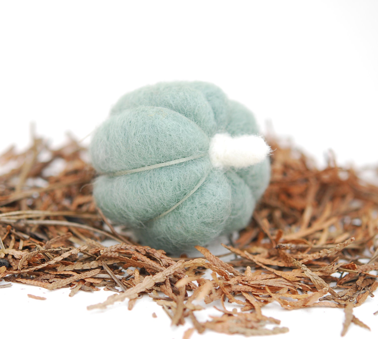Needle Felted Pumpkin halloween thanksgiving mint sage green wool autumn fall decor