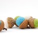 Felted Acorns,  aqua green white ocean beach sea autumn fall thanksgiving nature woodland decor  ecofriendly