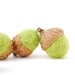 Felted Acorns, lime green citrus chartreuse  decor ecofriendly moss gift guide under 20 unisex