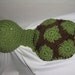 Turtle hat and Cuddle Critter Cape or add a bow for 3.00