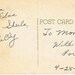 Vintage Large Letter Postcard Alabama - Greetings