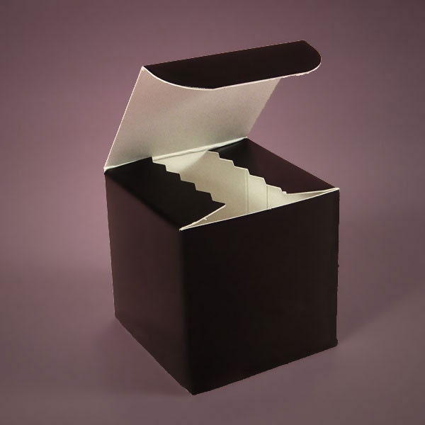 10 Boxes that are 3X3X3 Cube Wedding Shower or Birthday Favor Boxes or Cupcake Boxes