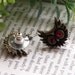 On sales now Pretty retro copper owl head with red crystals eyes stud earrings pendant vintage style E2