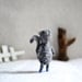 Miniature Grey Squirrel - woodland pocket plush