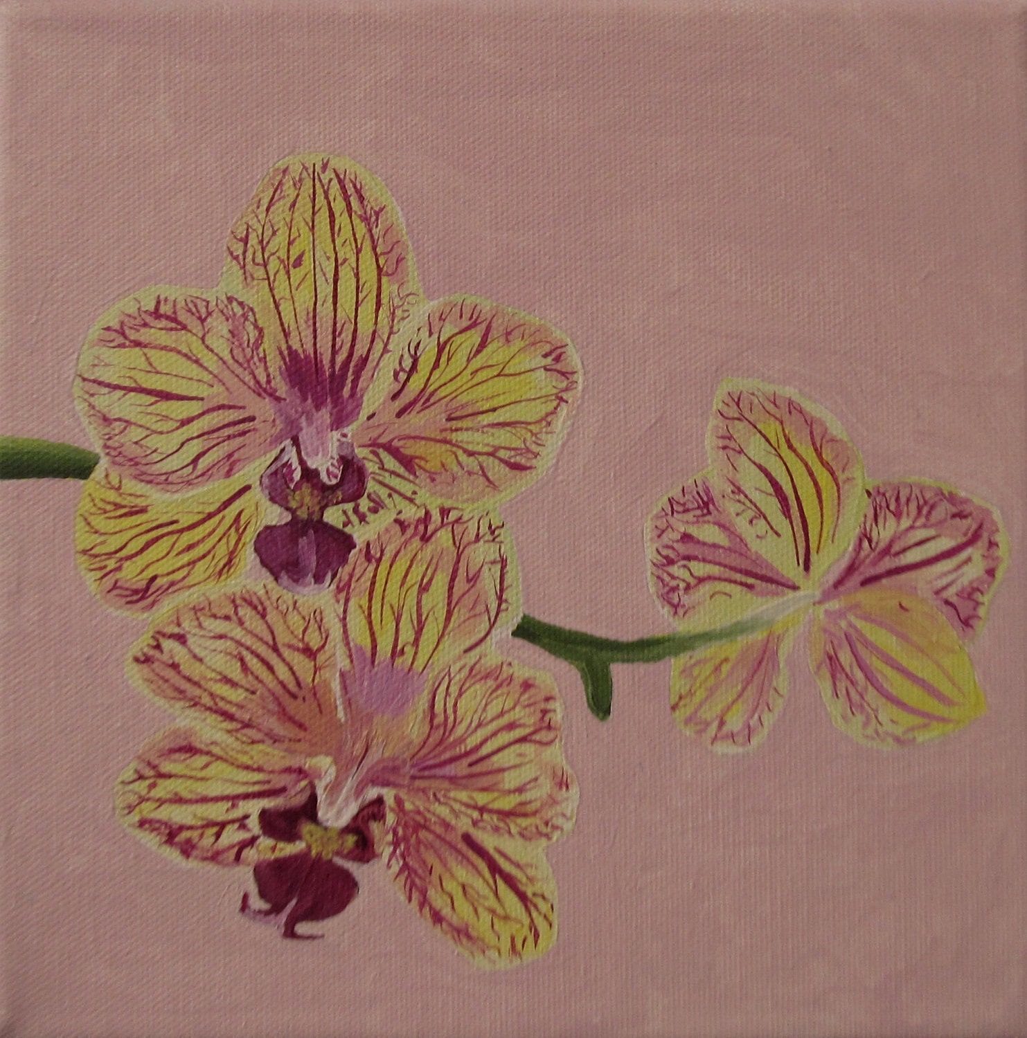 Three Orchids - acrylic on gallery wrapped, archival canvas, 8 x 8 inch