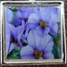 Purple Patunia Sterling Silver Plated Necklace