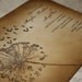 Meaghan Collection - Dandelion Wish Vintage Wedding Invitation Suite - by anista designs