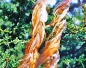 long feather earrings on silver chain
