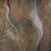 Forest. Limited Edition Print by Tanja Groos.