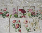 Floral Gift Tags with Seam Binding Set of 8 Assorted