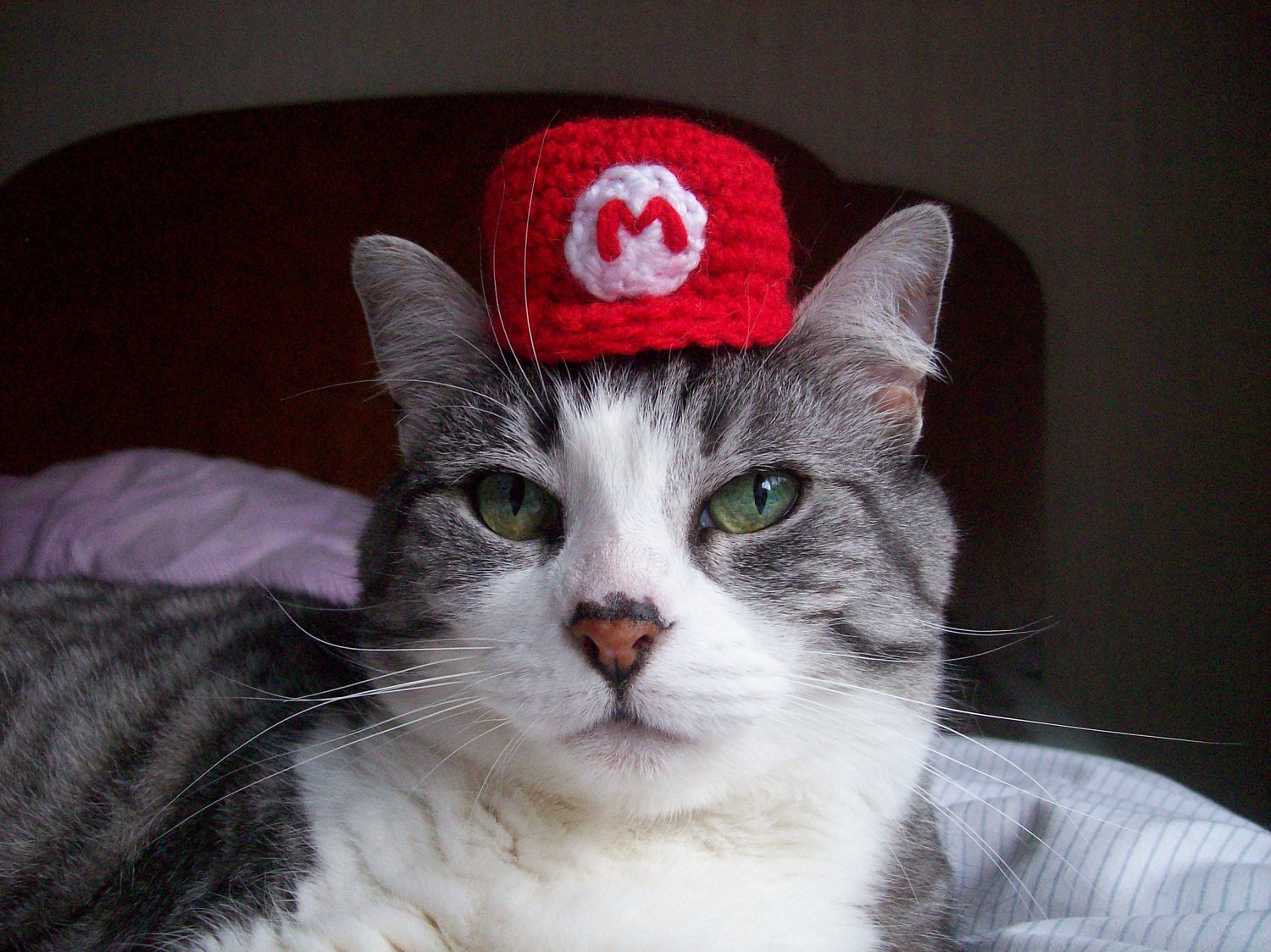 Super Mario Bros Hat For A Cat, Crochet Cat Costume