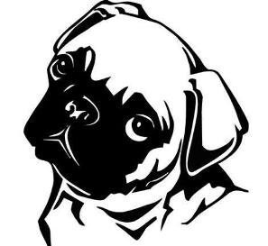 Pug Decal