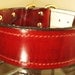 The Standard Dog Collar