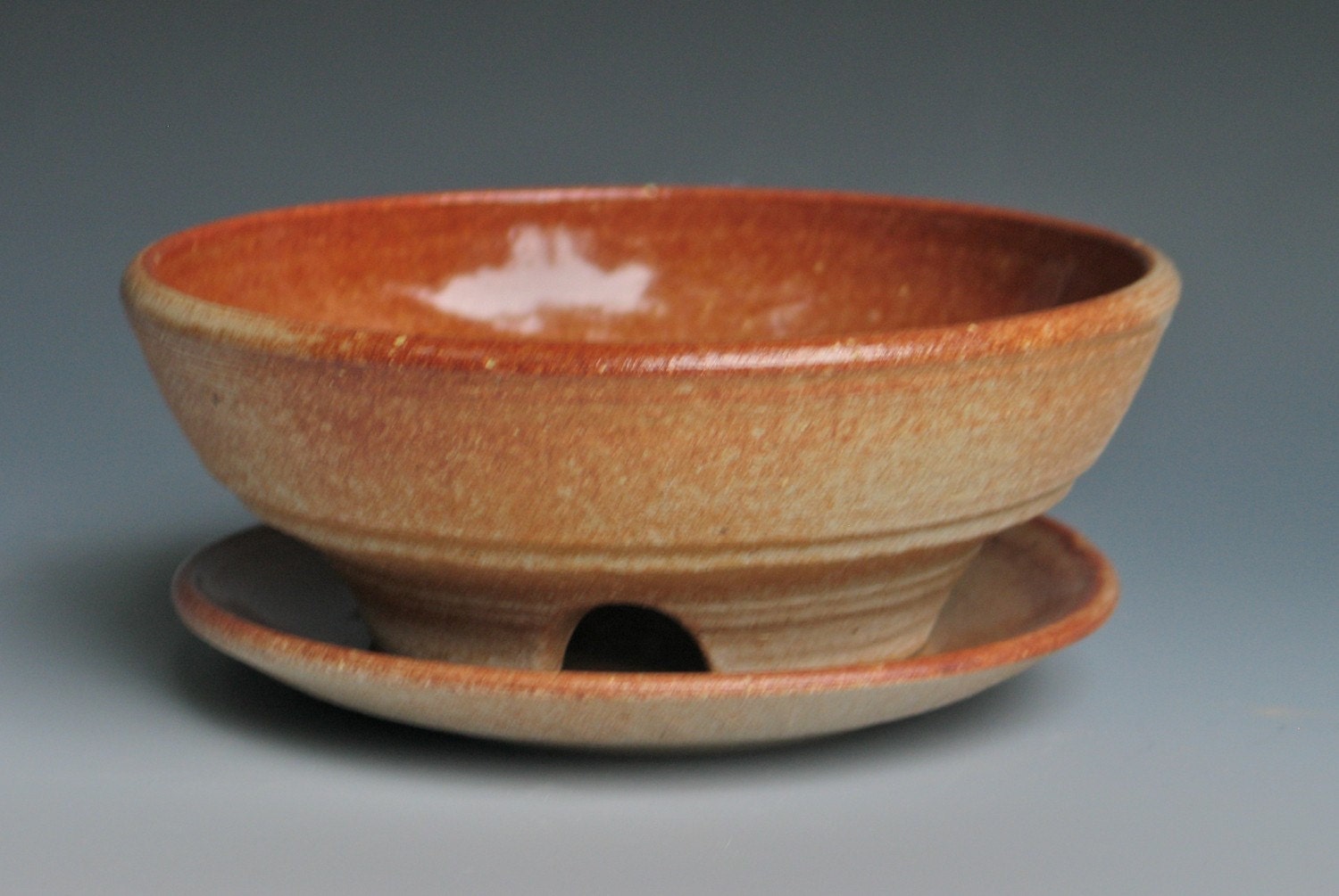 Berry Bowl
