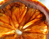 Dehydrated Lemon slices