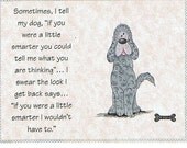 Everyday Humorous Greeting Card-Blank Inside-Hissy Fit Card-8-...if you were smarter