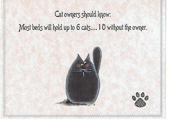 Everyday Humorous Greeting Card-Blank Inside-Hissy Fit Card-11-Cat owners should know:
