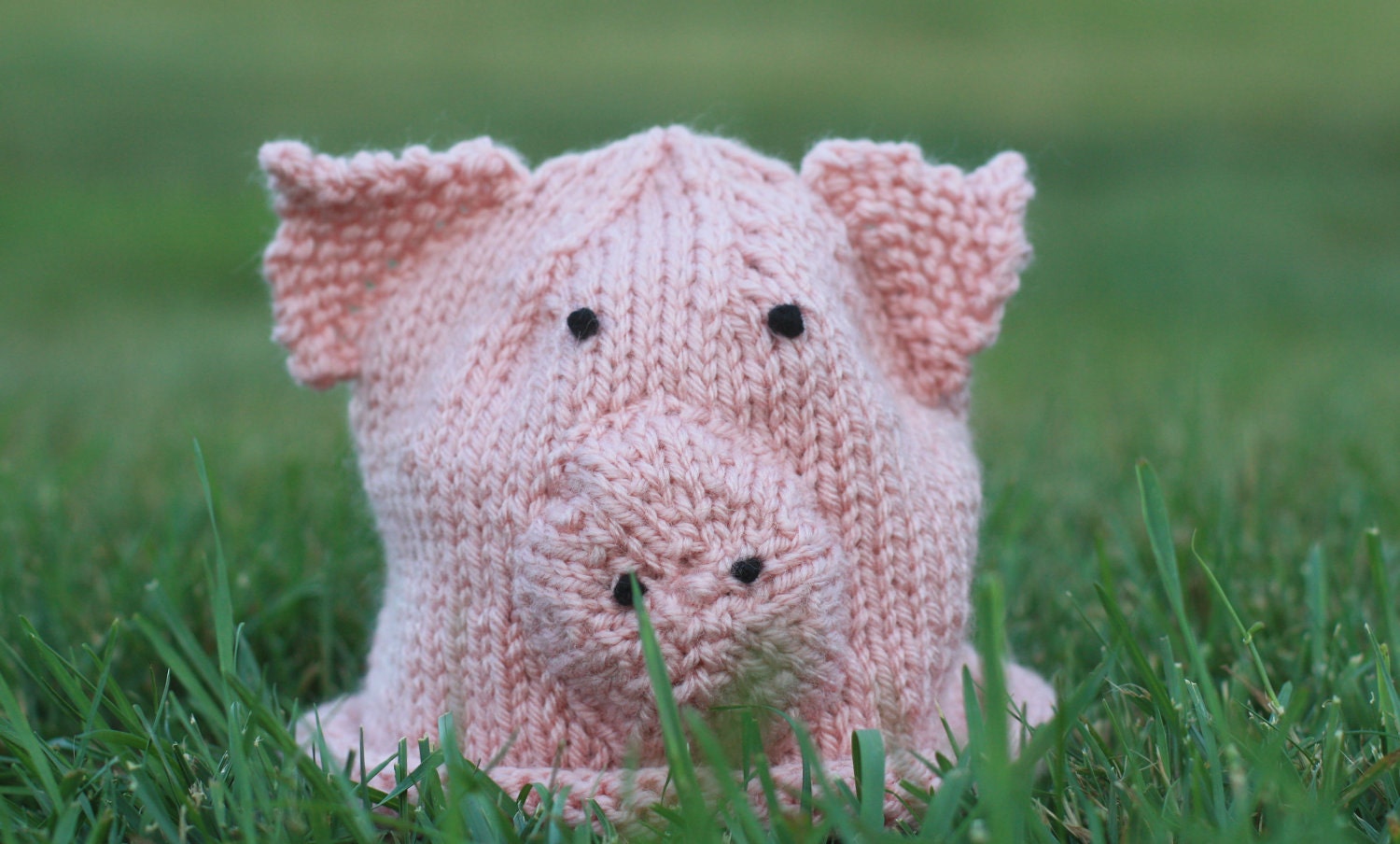 Baby Pink Pig