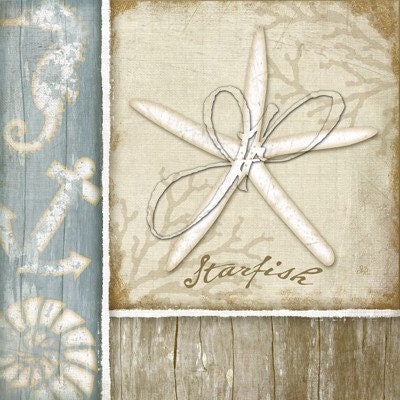 Coastal Seashells - 6x6 Art Print Set