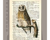 OWL1 -ARTWORK  printed on Repurposed Vintage Dictionary page -Upcycled Book Print