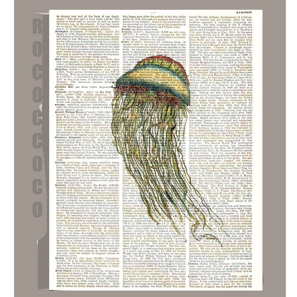 Beautiful JELLYFISH - ARTWORK  printed on Repurposed Vintage Dictionary page 8 x 10 -Upcycled Book Print