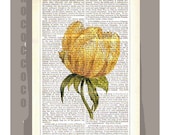 Yellow TULIP Artwork on a page from vintage Dictionary -Upcycled Book Print