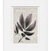 Botanical LEAVES1Artwork on a page from vintage Dictionary -Upcycled Book Print